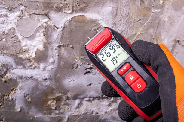 Best Black Mold Removal  in Lake Camelot, IL