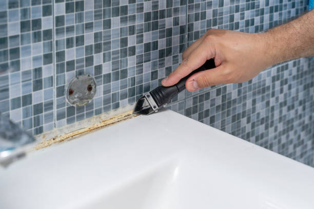 Best Mold Removal Near Me  in Lake Camelot, IL